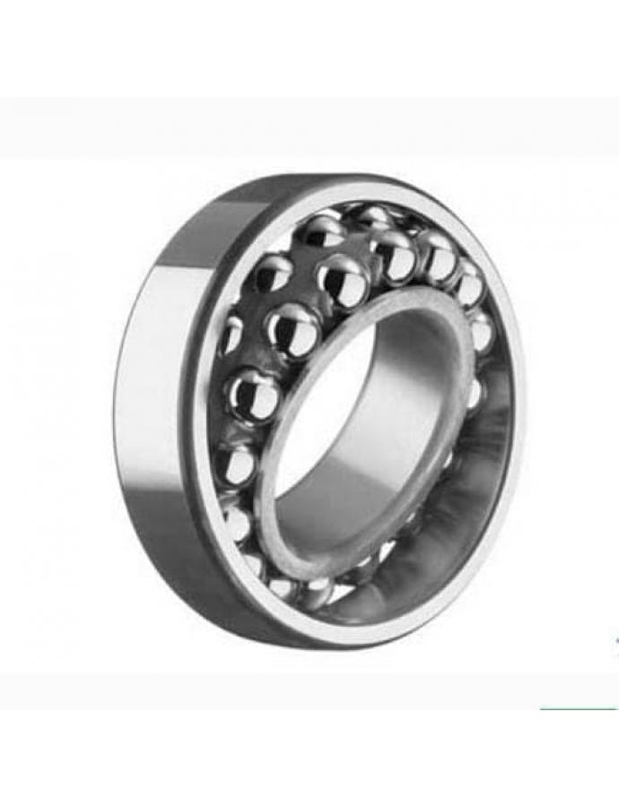 Rulment 1209 – rulment radial cu două rânduri pentru diverse echipamente și mecanisme.